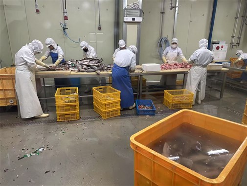 你知道袋裝即食魚應該如何殺菌效果更好嗎？